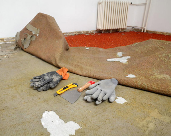 Carpet-Removal02