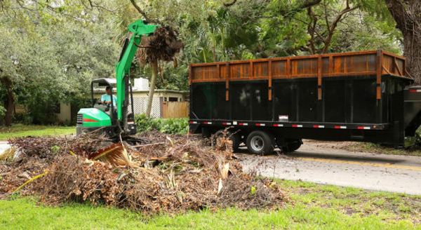 Yard-Waste-Disposal-Service02
